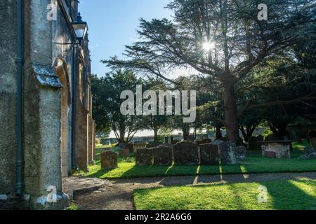 Vue latérale de l'église de la Sainte Trinité, Cold Ashton, Royaume-Uni le long du sentier public Cotswold Way avec le soleil qui brille à travers les arbres créant de longues ombres Banque D'Images