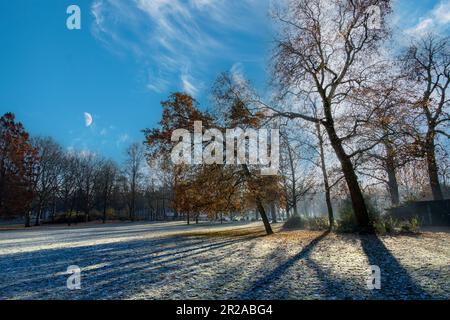 Vue rétro-éclairée des arbres dans un parc au début de l'hiver avec des feuilles encore sur l'arbre et le soleil jetant de longues ombres sur l'herbe dépolie avec la demi-lune Banque D'Images