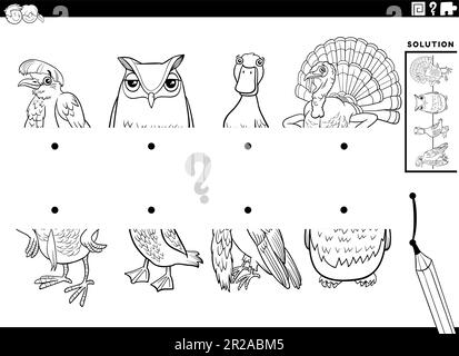 Dessin animé noir et blanc illustration du jeu éducatif de faire correspondre les moitiés des images avec des oiseaux animal caractères coloriage page Illustration de Vecteur