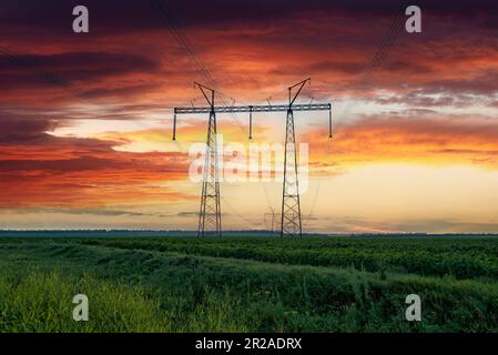 Ligne électrique aérienne sur une tour de transmission dans le champ du jeune tournesol au coucher du soleil coloré en Ukraine. Paysage nocturne pittoresque de l'ukrainien Banque D'Images