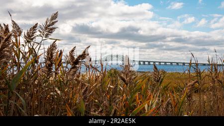 En regardant vers l'ouest à travers le roseau commun de couleur automnale au Great South Bay Bridge. Banque D'Images