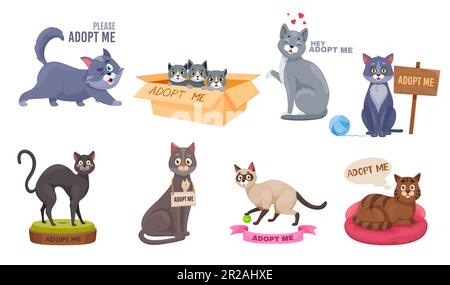 Adoptez un chat vecteur, mignon chaton sans-abri attendant l'adoption. Les personnages de dessins animés ont besoin d'aide, trouver la maison aux animaux sans abri. Des chatons tristes avec du texte s'il vous plaît adopter moi assis dans une boîte en carton Illustration de Vecteur