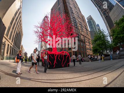 Installation de "l'ancien arbre" par l'artiste Pamela Rosenkranz sur l'épi de haute ligne à New York mercredi, 10 mai 2023. La sculpture, qui ressemble à des vaisseaux sanguins et à des organes humains, devrait s'ouvrir au public au printemps 2023, en vue de son ouverture jusqu'en septembre 2024. (© Richard B. Levine) Banque D'Images