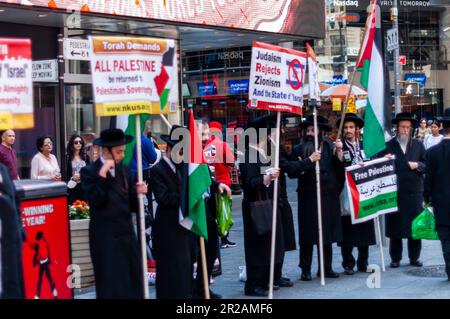 Des membres juifs orthodoxes du groupe antisioniste Neturei Karta rejoignent les Palestiniens et leurs partisans qui protestent contre leur traitement par le gouvernement israélien et célèbrent la Journée Nakba, dimanche, 14 mai 2023 sur la place du temps à New York. (© Richard B. Levine) Banque D'Images