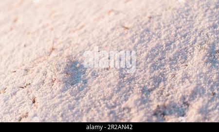 Gros plan sur la neige sous la lumière chaude du matin Banque D'Images