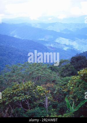 Vue sur le parc national Crocker Range, Sabah, Malaisie Banque D'Images