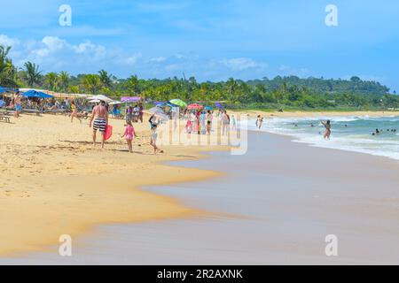 Trancoso, quartier de Porto Seguro, BA, Brésil - 06 janvier 2023 : vue sur la plage de Nativos, célèbre plage du nord-est brésilien. Banque D'Images