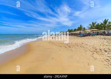 Trancoso, quartier de Porto Seguro, BA, Brésil - 06 janvier 2023 : vue sur la plage de Nativos, célèbre plage du nord-est brésilien. Banque D'Images