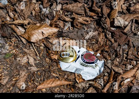 Une bière Miller Lite aplatie écrasée peut être jetée dans les feuilles des montagnes Adirondack, NY USA Banque D'Images