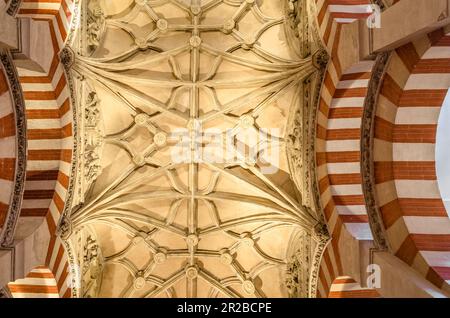 CORDOUE, ESPAGNE - 15 FÉVRIER 2014 : colonnes et arches à deux niveaux à l'intérieur de la mosquée-cathédrale de Cordoue, Andalousie, sud de l'Espagne Banque D'Images
