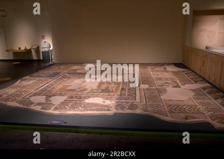 Représentation de Dionysos à partir d'une mosaïque de sol d'un bâtiment séculaire et des quatre saisons (6e siècle). Musée diachronique de Larissa , Grèce Banque D'Images