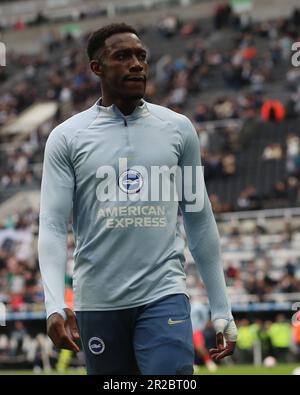 Danny Welbeck de Brighton lors du match de la Premier League entre Newcastle United et Brighton et Hove Albion à St. James's Park, Newcastle, le jeudi 18th mai 2023. (Photo : Mark Fletcher | ACTUALITÉS MI) Credit: MI News & Sport /Alamy Live News Banque D'Images