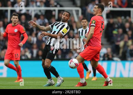 Callum Wilson de Newcastle a Uni en action avec Lewis Dunk de Brighton lors du match de la Premier League entre Newcastle United et Brighton et Hove Albion à St. James's Park, Newcastle, le jeudi 18th mai 2023. (Photo : Mark Fletcher | ACTUALITÉS MI) Banque D'Images