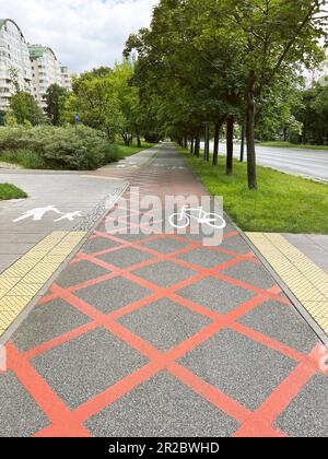 Piste cyclable avec panneaux peints sur l'asphalte en ville Banque D'Images