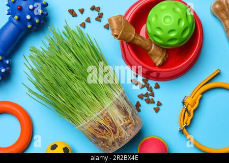 Composition de pose à plat avec jouets pour animaux de compagnie, nourriture et accessoires sur fond bleu clair Banque D'Images