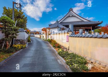 Nakatsu, Japon - novembre 26 2022 : Temple Myoren-ji situé un peu au sud du centre du quartier Tera-machi Banque D'Images