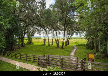 Zone d'observation du centre d'accueil au parc national Paynes Prairie Preserve à Micanopy, Floride, près de Gainesville, Floride. (ÉTATS-UNIS) Banque D'Images