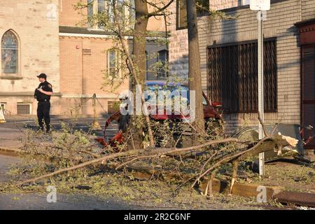 Paterson, États-Unis. 18th mai 2023. Un seul véhicule s'écrase dans un arbre et une boîte aux lettres, laissant plusieurs branches, des dommages importants et des débris encombrant les trottoirs et la chaussée. Un seul véhicule s'est écrasé dans un arbre et une boîte aux lettres, ce qui a nécessité à une personne d'obtenir la RCP. Pour le moment, on ne sait pas dans quelle condition se trouve l'individu. La scène a été tenue avec de la bande de scène de crime. La police de Paterson a gardé la zone pour préserver les preuves. L'accident s'est produit vers 7 h 00, heure de l'est, jeudi soir. Crédit : SOPA Images Limited/Alamy Live News Banque D'Images