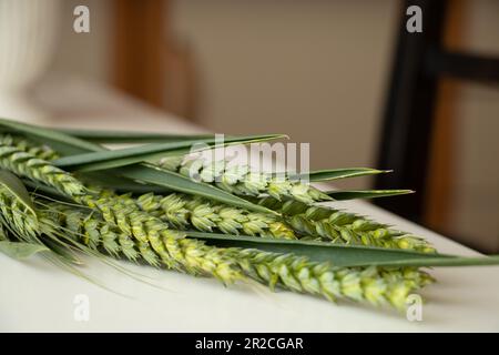 des épillets verts de blé sur une table en bois en gros plan Banque D'Images