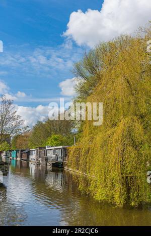 Delft, pays-Bas - 26 avril. 2023: Vue de la maison bateau sur un canal avec végétation verte, à Delft Banque D'Images