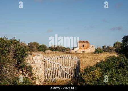 Ferme abandonnée dans les champs avec ancienne porte en bois et mur en pierre à Majorque. Banque D'Images