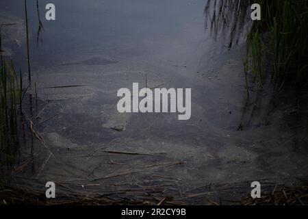 Jezioro Winiary - Gniezno, Pologne - reflets d'eau, lotissement en béton, reflété dans un lac. Banque D'Images