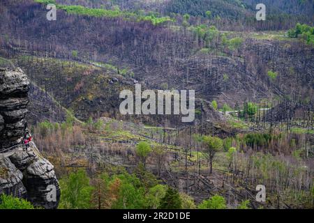 Hrensko, République tchèque. 17th mai 2023. Vue depuis le rocher de la porte Prebisch jusqu'aux arbres carbonisés de la Suisse de Bohême après les feux de forêt à l'été 2022. Le parc national avec son paysage rocailleux unique borde directement la Suisse saxonne du côté allemand. Le parc national de la Suisse saxonne a également été gravement touché par les feux de forêt dévastateurs de l'été dernier. Crédit : Robert Michael/dpa/Alay Live News Banque D'Images