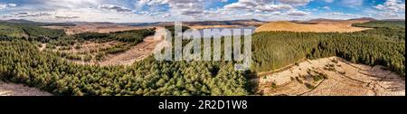 Vue aérienne de la forêt sur l'île de Lough Anna - Comté de Donegal, Irlande. Banque D'Images