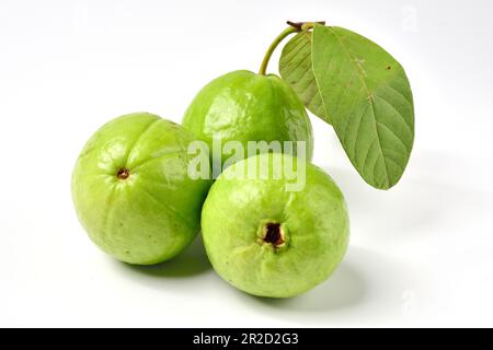 Fruits de goyave rose isolés sur fond blanc.fruit de goyave avec feuille isolée sur fond blanc.fruits de goyave thaïlandais rose isolés sur fond blanc. Banque D'Images