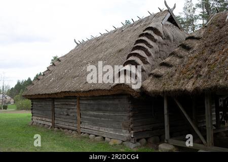 Ancienne maison en bois avec paille, toit de chaume à Meadow, plein air. Bungalow dans la région rurale de l'Europe de l'est, campagne. Paysage horizontal Banque D'Images