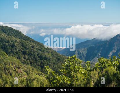 Paysage verdoyant et pittoresque dans le parc national de Garajonay avec vue lointaine sur le sentier de randonnée de San Sebastian de la Gomera du Mirador de Roque Agando à la Banque D'Images