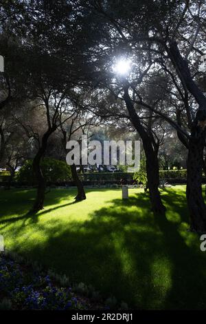 Jardins de Bahai sur les pentes de la montagne Carmel à Haïfa, Israël Banque D'Images