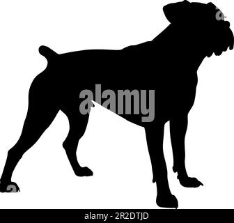 Silhouette de boxeur isolée sur fond blanc. Illustration vectorielle Illustration de Vecteur