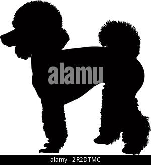 Silhouette de chien Poodle isolée sur fond blanc. Illustration vectorielle Illustration de Vecteur