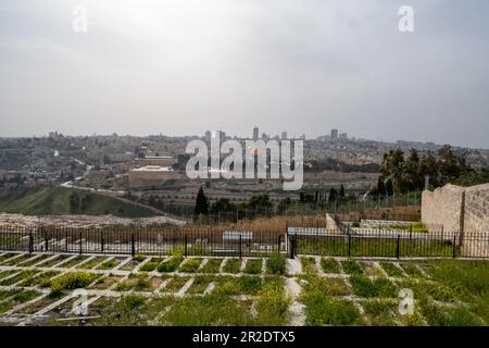 Vue panoramique sur Jérusalem depuis le mont des olives en Israël Banque D'Images