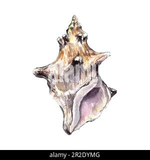 L'enfer marin. Aquarelle illustration d'un bord de mer isolé sur fond blanc. Une image séparée dans la série, un élément de la conception de marine i Banque D'Images