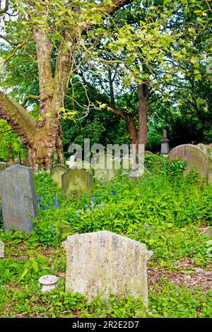 Cimetière de York, Cemetery Road, York, Yorkshire, Angleterre Banque D'Images