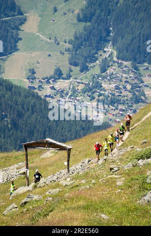 Coureurs de sentier lointains sur le marathon de montagne d'été Sierre Zinal, Suisse Banque D'Images