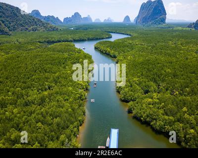 Petite jetée au milieu d'une immense mangrove avec falaises calcaires (baie de Phang-nga, Thaïlande) Banque D'Images