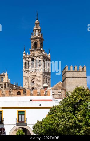 Espagne, Séville, Cathédrale de Séville, Cathédrale Saint Marie du Siège, achevée en 16th siècle et est l'une des plus grandes églises du monde. Vue Banque D'Images