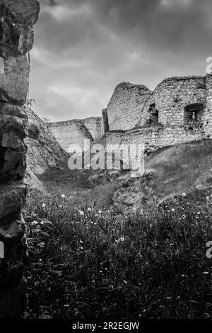 Atmosphère dramatique des ruines d'un château fortifié avec végétation. Banque D'Images