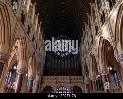 Une grande fenêtre de vitraux multicolores dans l'église catholique romaine de la ville de Cobh. L'intérieur de l'église de la cathédrale Saint-Colman. Banque D'Images