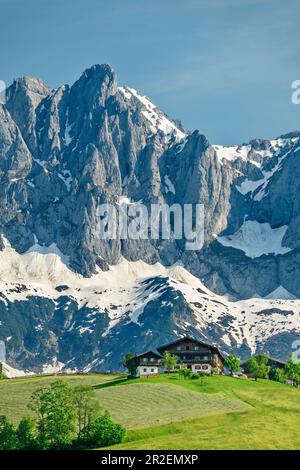 La ferme se trouve en face des montagnes Kaiser, des montagnes Kaiser, Wilder Kaiser, Tyrol, Autriche Banque D'Images