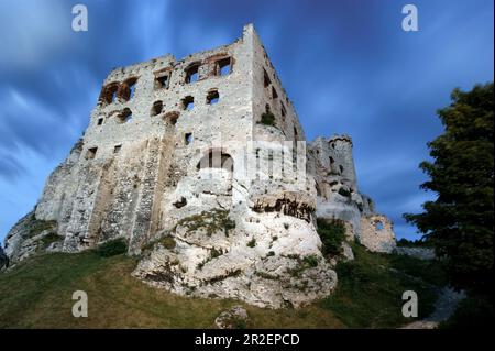 Château médiéval d'Ogrodzieniec, Silésie Voivodeship en Pologne, Europe Banque D'Images