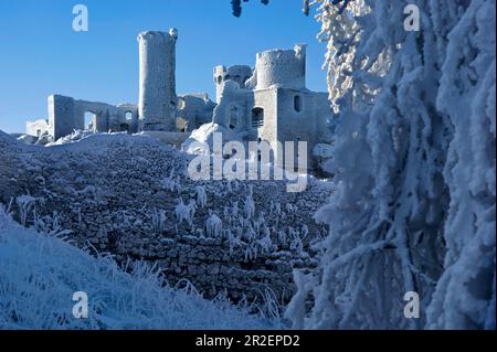 Château médiéval d'Ogrodzieniec, Silésie Voivodeship en Pologne, Europe Banque D'Images