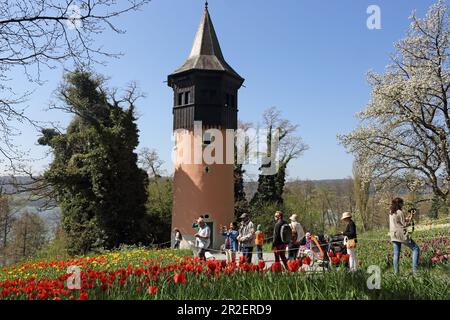 Schwedenturm, Insel Mainau, Lac de Constance, Bade-Wurtemberg, Allemagne Banque D'Images