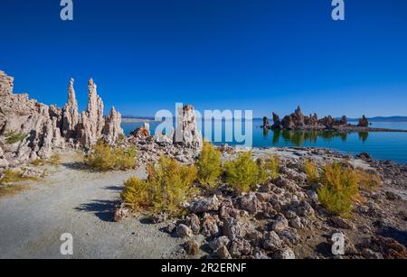 Tours de calcaire de tufa Sud sur le lac Mono avec ciel bleu, Californie, Etats-Unis Banque D'Images