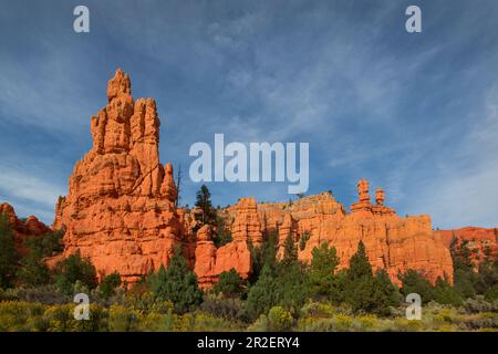 Rock of the Red Canyon dans l'Utah, États-Unis Banque D'Images
