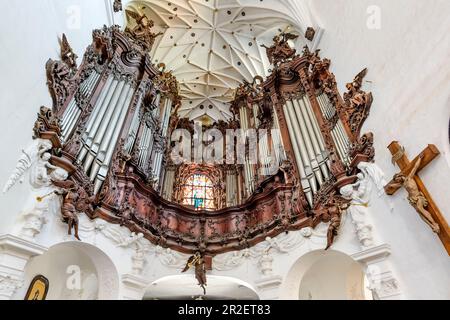 Le célèbre grand orgue Oliwa, l'église baroque de l'archcathédrale à Gdansk Oliwa, Gdansk Oliwa, région de Pomorze, Pomorskie voïvodeship, Pologne, Europe Banque D'Images