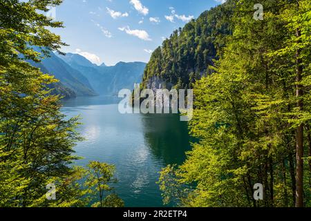 Vue du point de vue de Malerwinkel à Koenigssee, Schoenfeldspitze et Steinernes Meer, Parc national de Berchtesgaden, Berchtesgadener Land, haute-Bavière, Banque D'Images